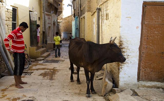 172 Jaisalmer.jpg